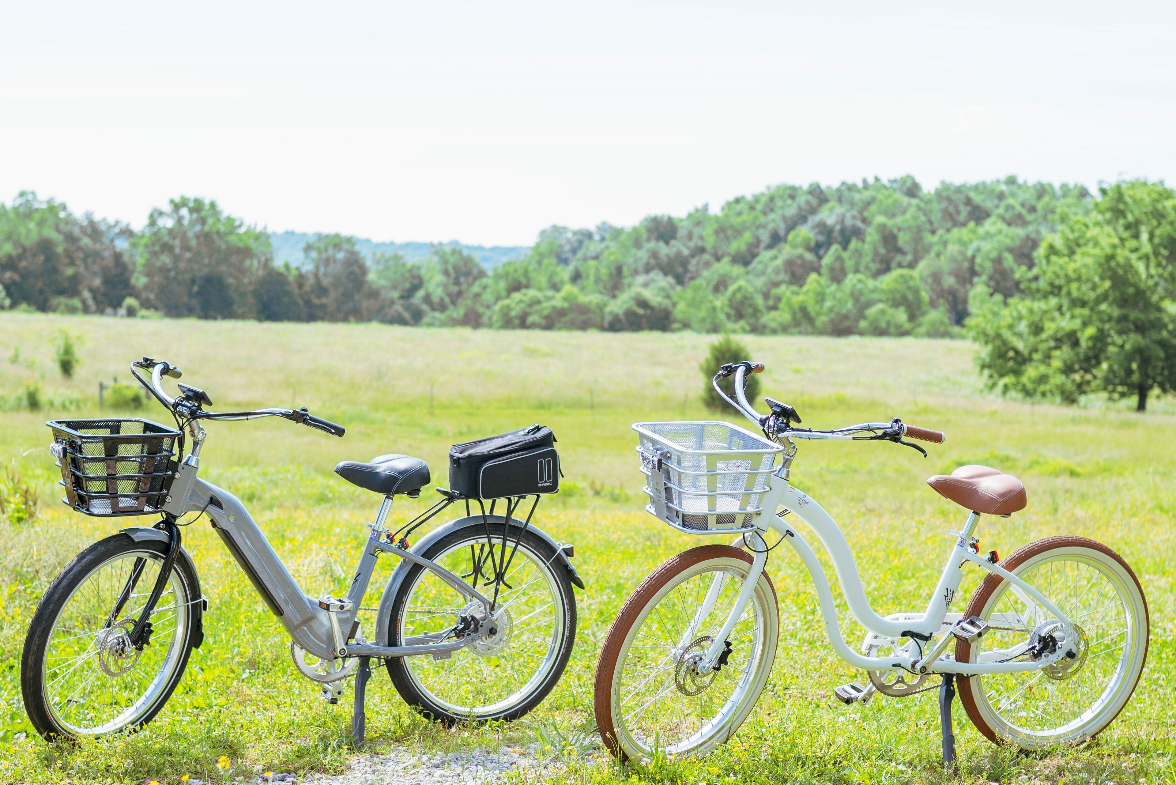Townsend/Cades Cove 3-Day Rental 1 Ebike and Communication Helmet (Tax Included)