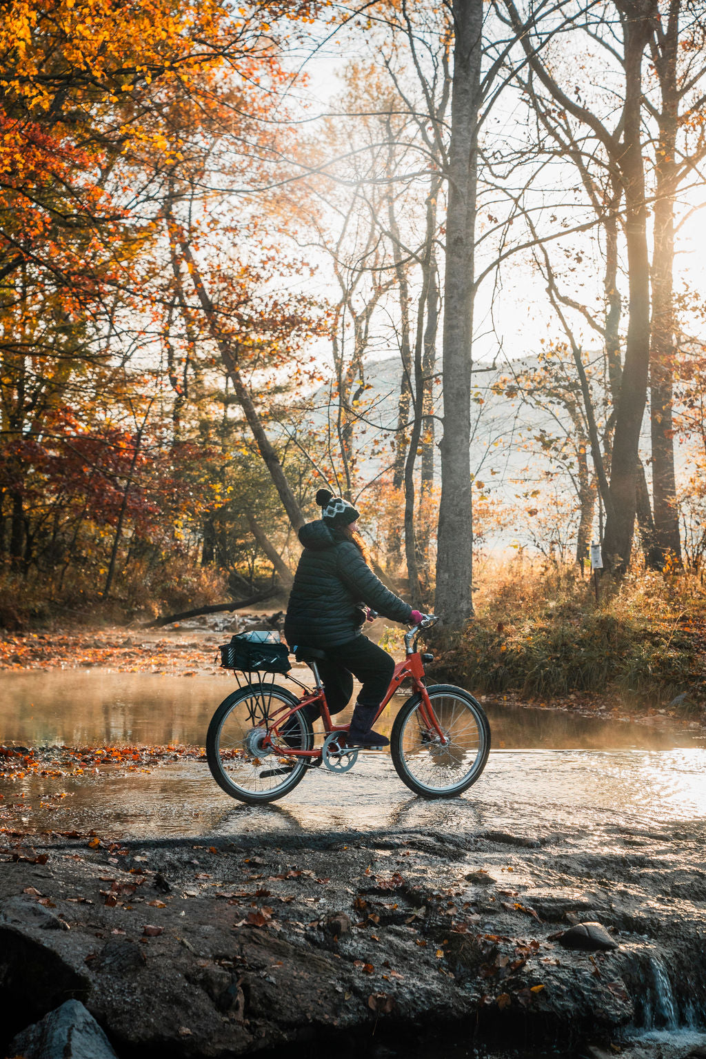 Cades Cove/Townsend-One EBike Rental-Full Day (Up to 24 Hours) Tax Included