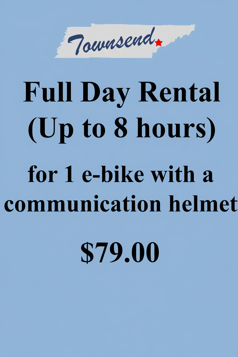 Full Day Rental